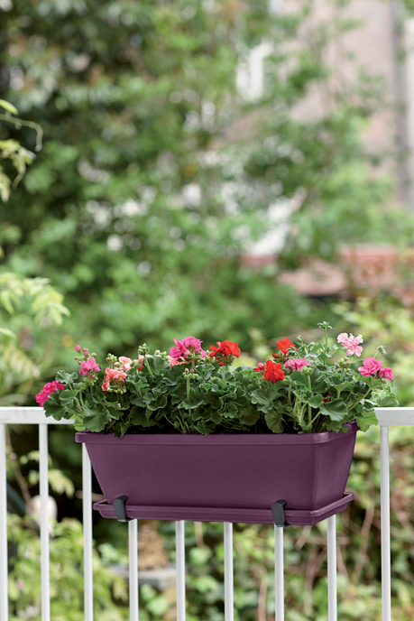 barcelona balkonkasten untersetzer 90cm ahorn lila